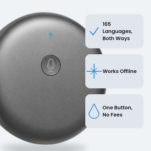 Smart Voice Language Companion